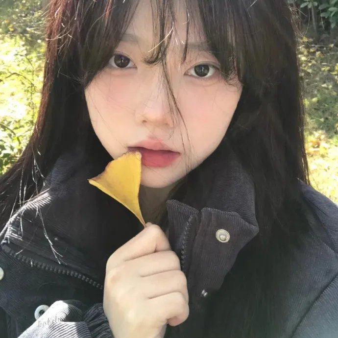 无与伦比的美丽